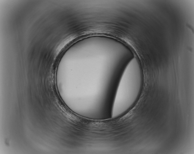 X0000101661119200807101018