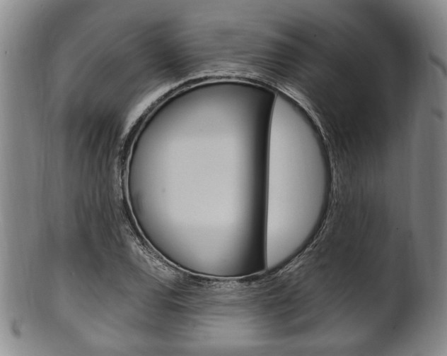 X0000101661120200807101018