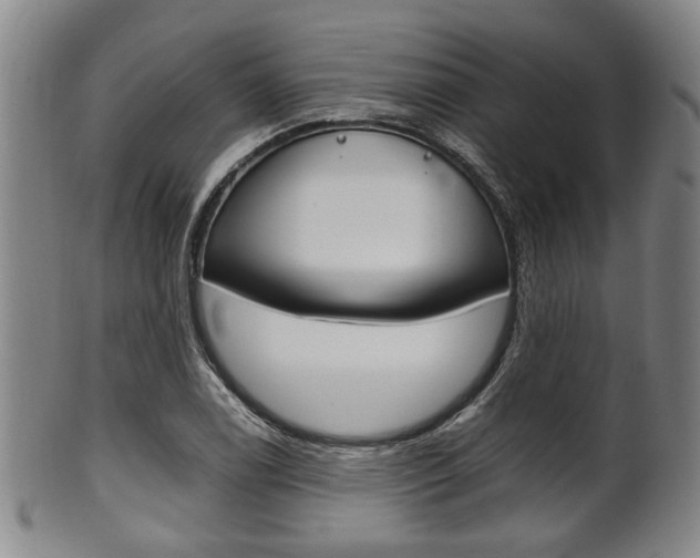 X0000101661122200807101018