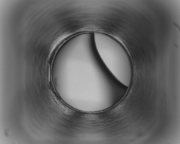X0000101661123200807101018