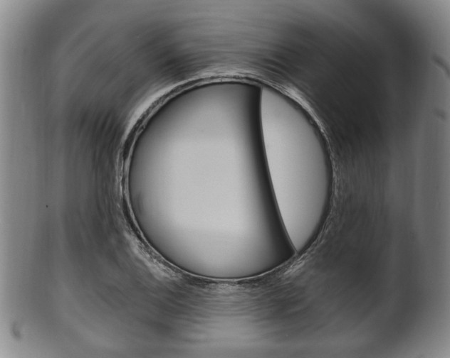 X0000101661124200807101018
