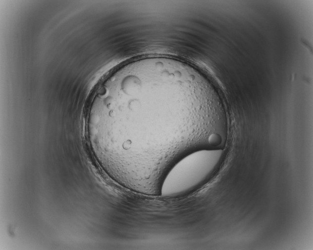 X0000101661125200807101018