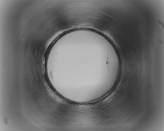 X0000101661126200807101018