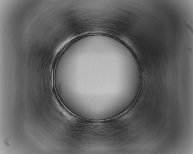 X0000101661127200807101018