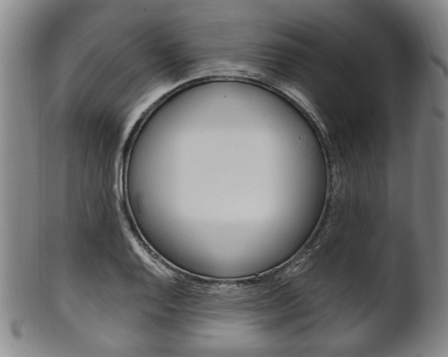 X0000101661128200807101018