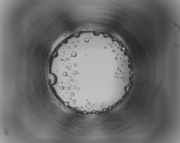 X0000101661130200807101018