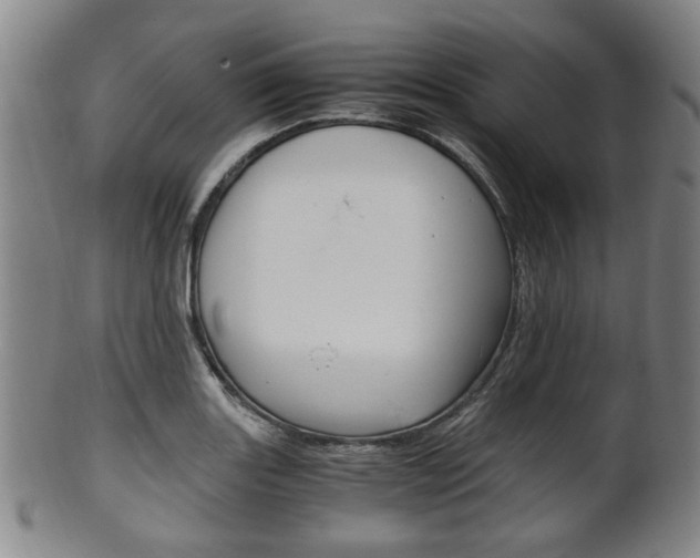 X0000101661131200807101018