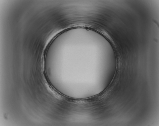 X0000101661132200807101019