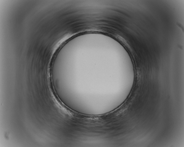 X0000101661133200807101019