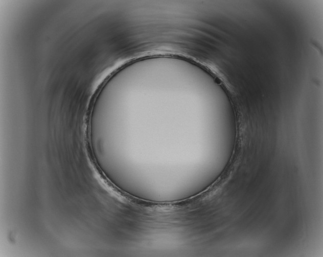 X0000101661134200807101019