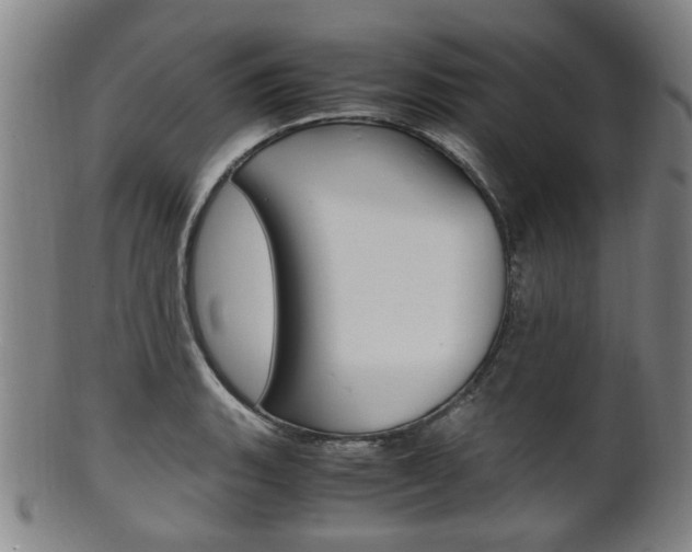 X0000101661135200807101019