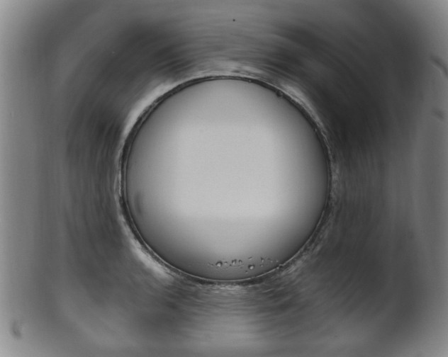 X0000101661136200807101019