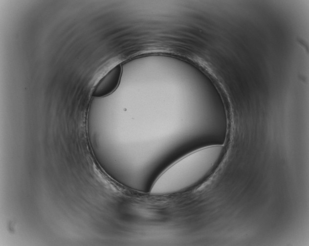 X0000101661137200807101019