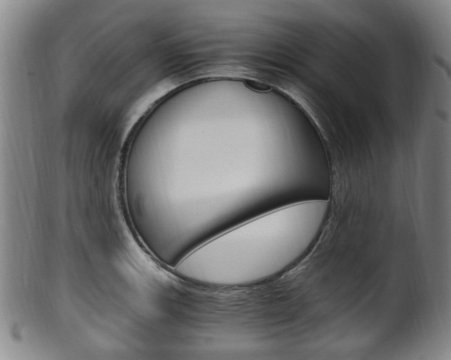 X0000101661139200807101019