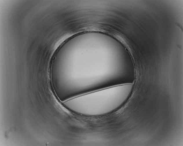X0000101661141200807101019