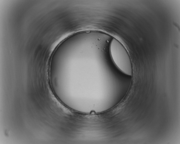 X0000101661142200807101019