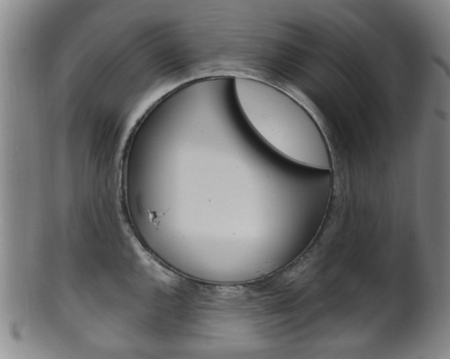 X0000101661144200807101019