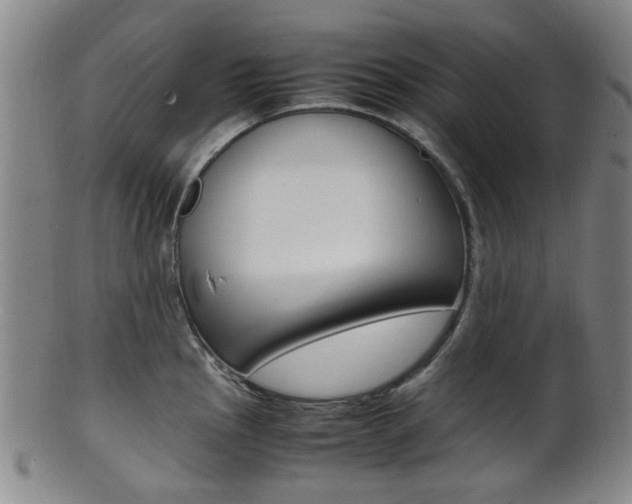X0000101661145200807101019
