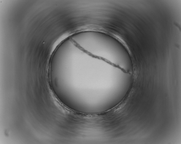 X0000101661146200807101019
