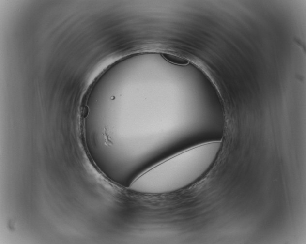 X0000101661147200807101019