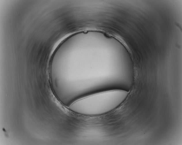 X0000101661148200807101019