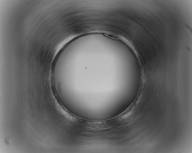 X0000101661149200807101019