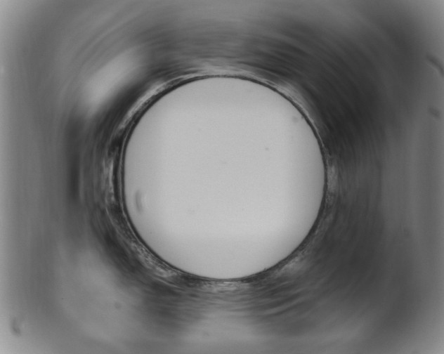 X0000101661150200807101019