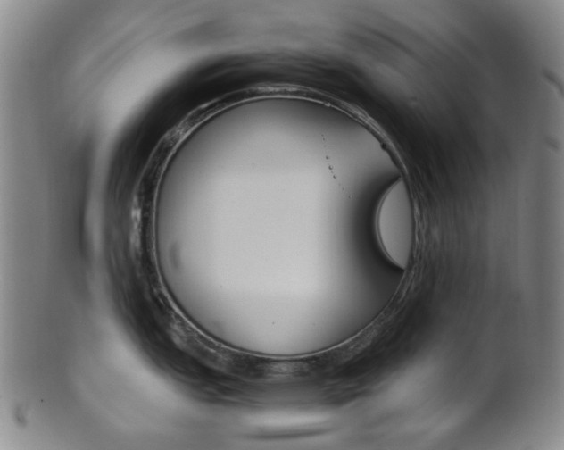 X0000101661151200807101019