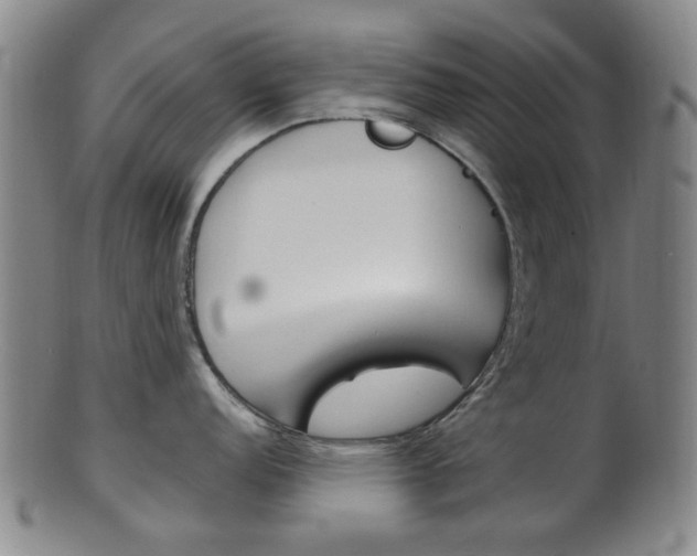 X0000101661152200807101019