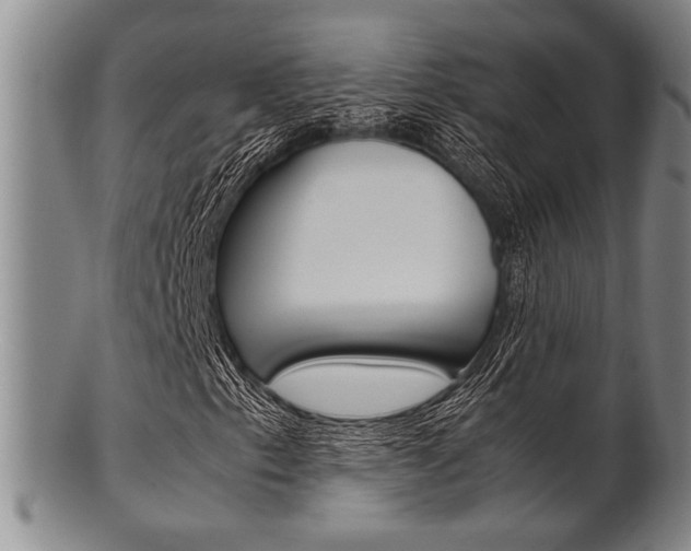 X0000101661153200807101018