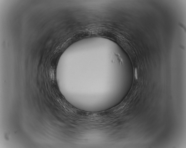 X0000101661155200807101018