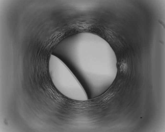 X0000101661156200807101018