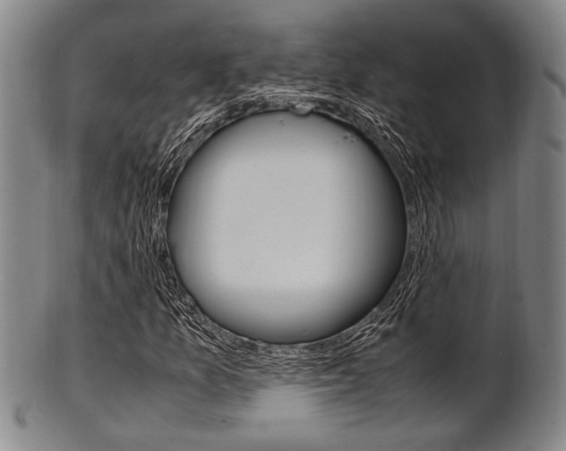 X0000101661157200807101018