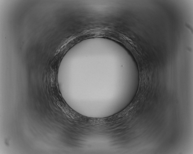 X0000101661158200807101018