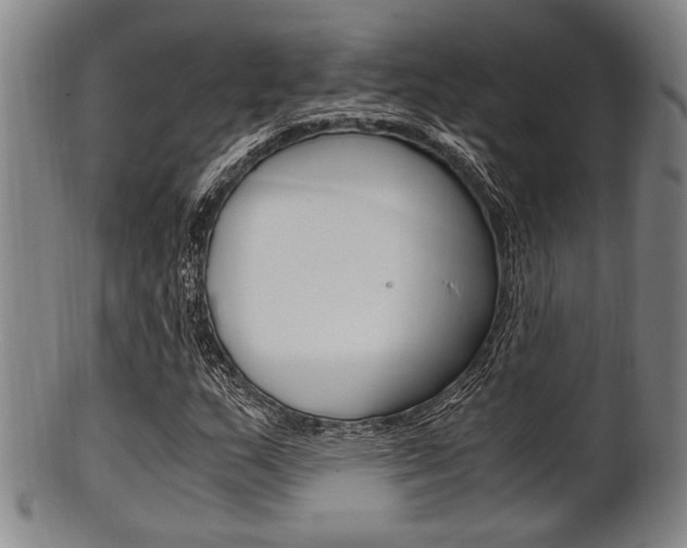 X0000101661159200807101018