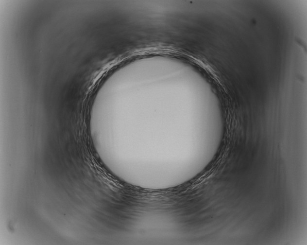 X0000101661160200807101018