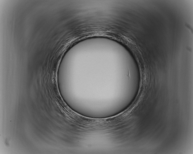 X0000101661161200807101018