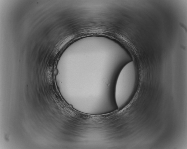 X0000101661162200807101018