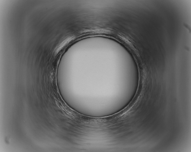 X0000101661163200807101018
