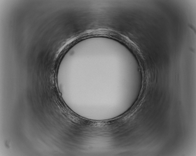 X0000101661166200807101018