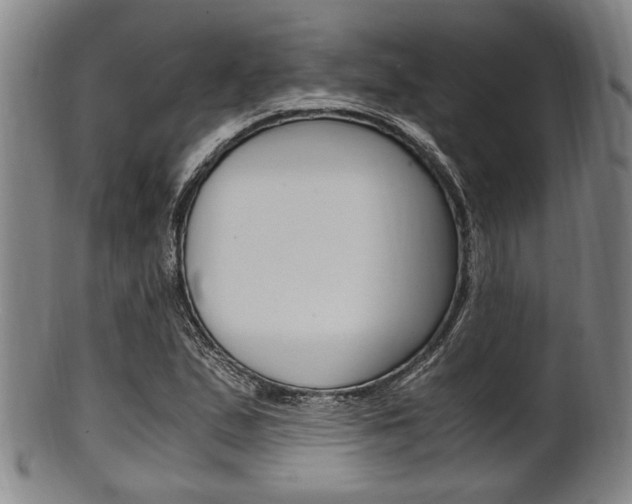 X0000101661167200807101018