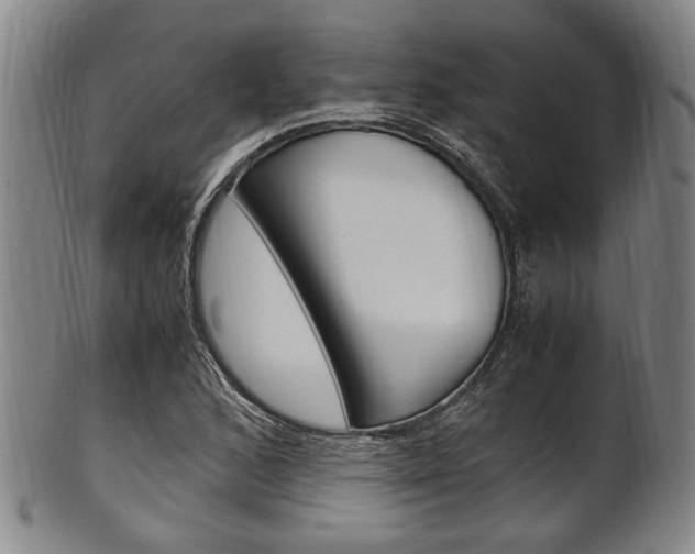 X0000101661168200807101018