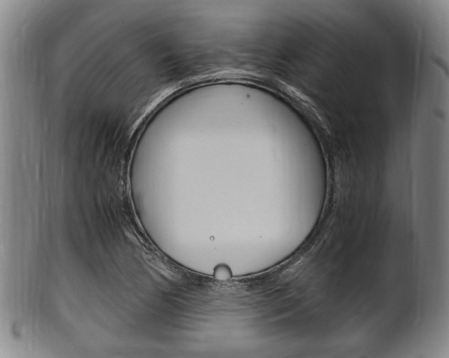 X0000101661170200807101018