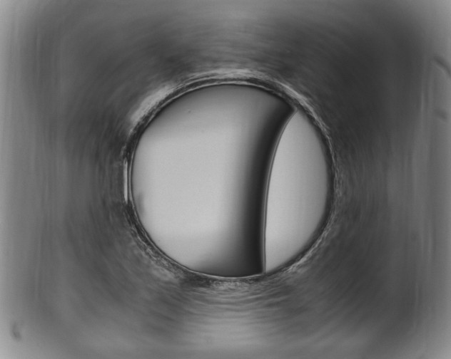 X0000101661171200807101018
