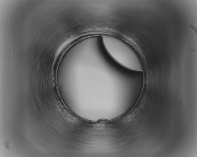 X0000101661172200807101018