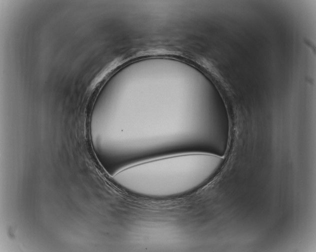 X0000101661173200807101018