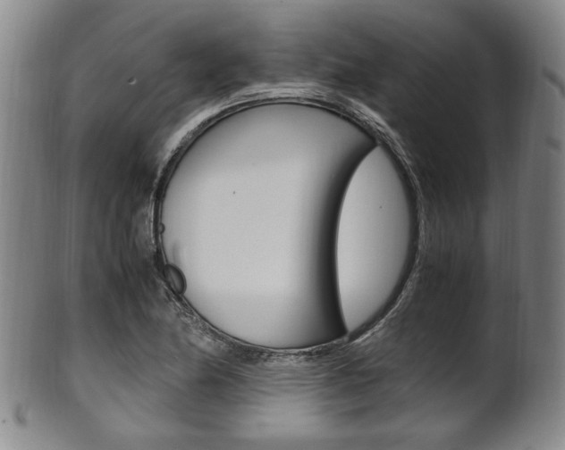 X0000101661174200807101018