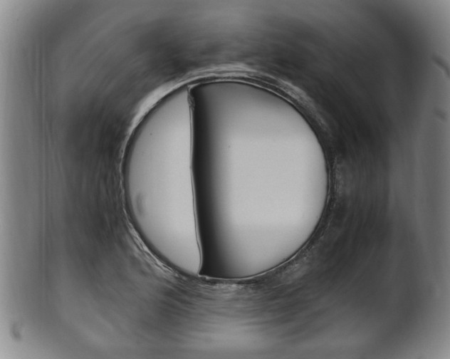 X0000101661176200807101018