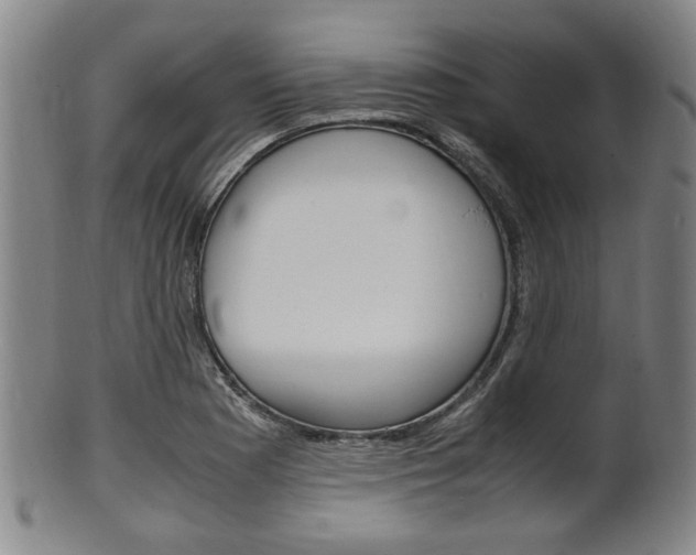 X0000101661177200807101018