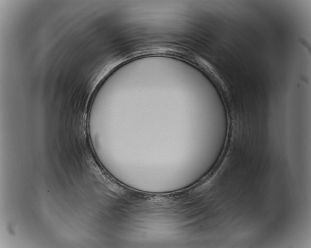 X0000101661178200807101018